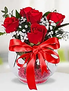 5 kırmızı gül fanus