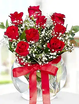 9 kırmızı gül fanus