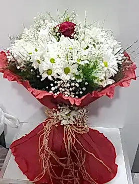 beyaz papatya tek kırmızı gül