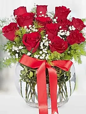 12 kırmızı gül fanus