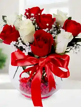 5 kırmızı gül 4 beyaz gül fanus