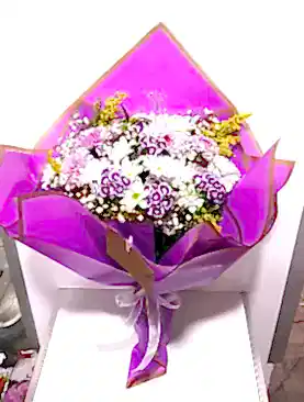 beyaz papatya renkli hüsnüyusuf