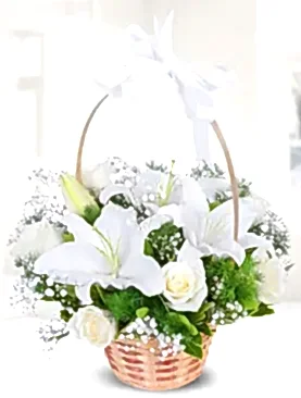 beyaz gül beyaz lilyum sepet