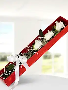 3 beyaz gül kutu