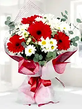 kırmızı gerbera papatya buket