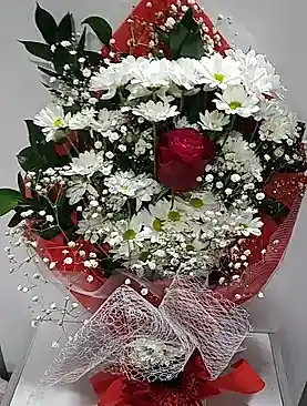 beyaz papatya tek kırmızı gül