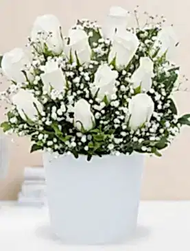 12 beyaz gül seramik