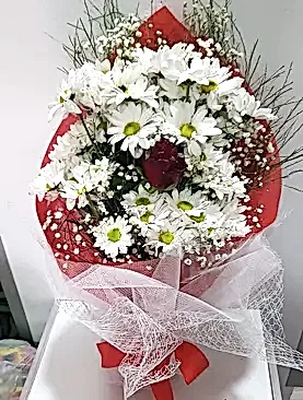 beyaz papatya tek kırmızı gül