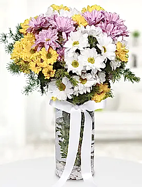 renkli papatyalar vazo