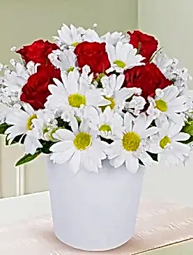 5 kırmızı gül beyaz papatya seramik