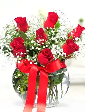 7 kırmızı gül fanus