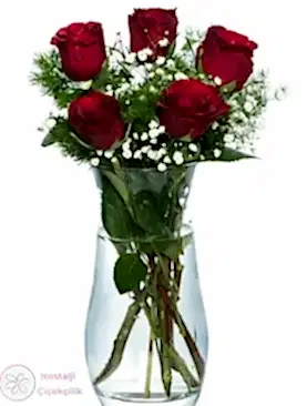 Vazoda 5'li Kırmızı Gül