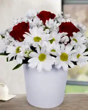 3 kırmızı gül beyaz papatya seramik