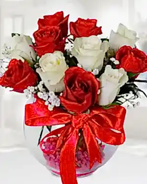 6 kırmızı gül 5 beyaz gül fanus