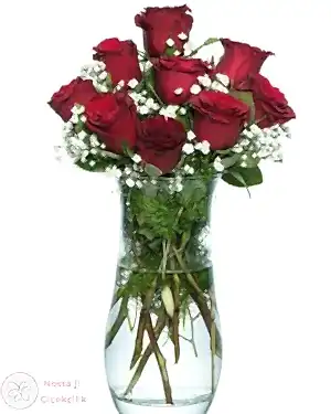 Vazoda 9'lu Kırmızı Gül