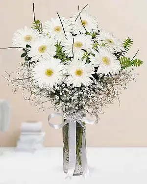 9 beyaz gerbera vazo