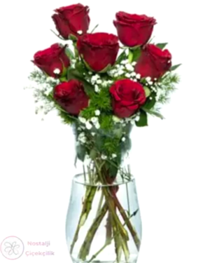 Vazoda 7'li Kırmızı Gül