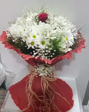 beyaz papatya tek kırmızı gül