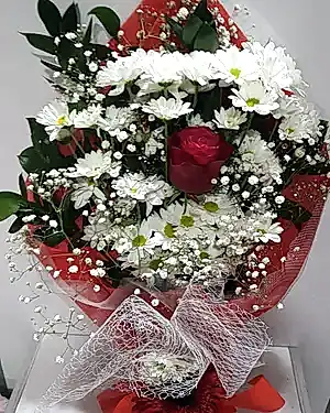 beyaz papatya tek kırmızı gül